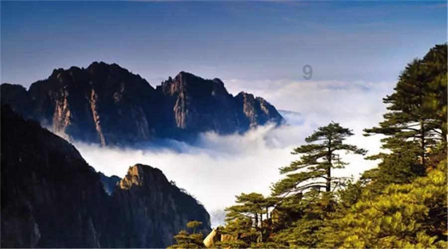 禅宗花园