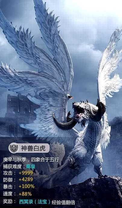 消失的轨迹