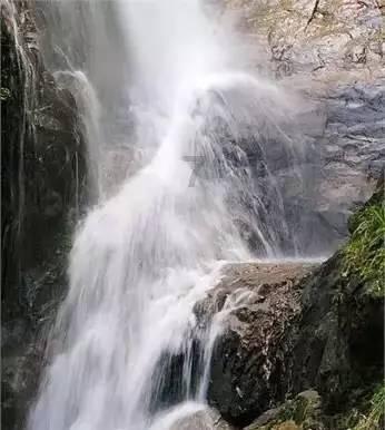 拯救精灵的土地5