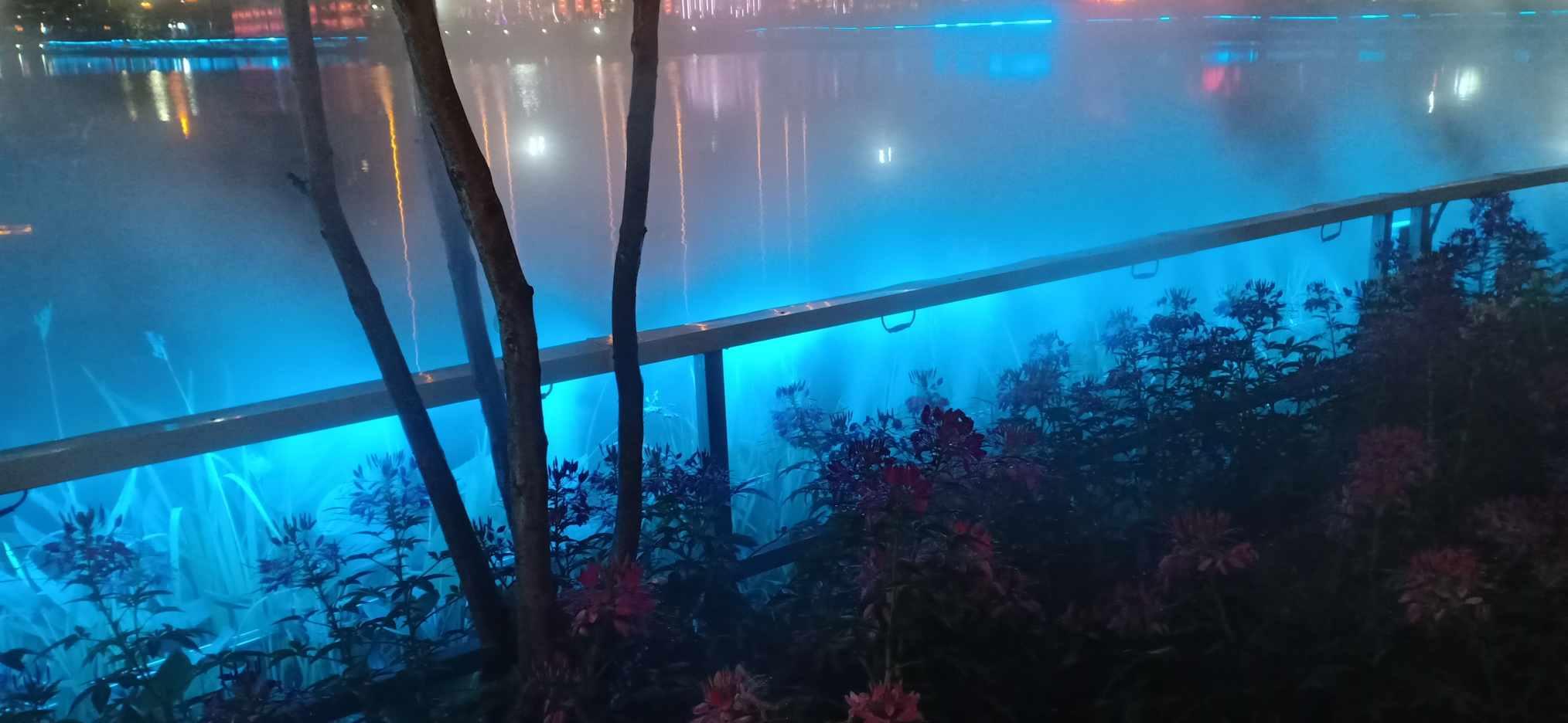 别人上音综他却上恋综,汪苏泷和他的漂亮姐姐们,每一对都太好磕了!